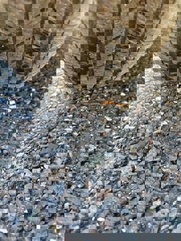 Used 2011 BMW 328i xDrive Sedan w/ Premium Pkg 2 image 32