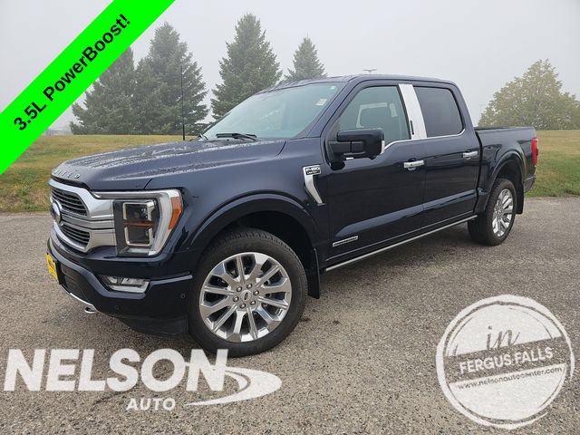 Used 2023 Ford F150 Limited