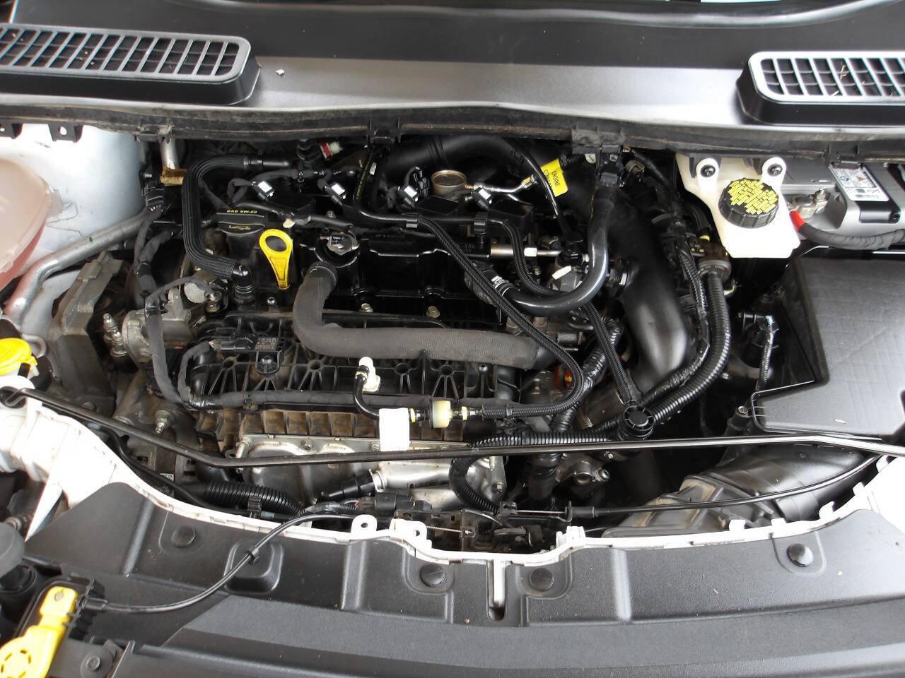 Used 2019 Ford Escape SE AWD/4WD image 25