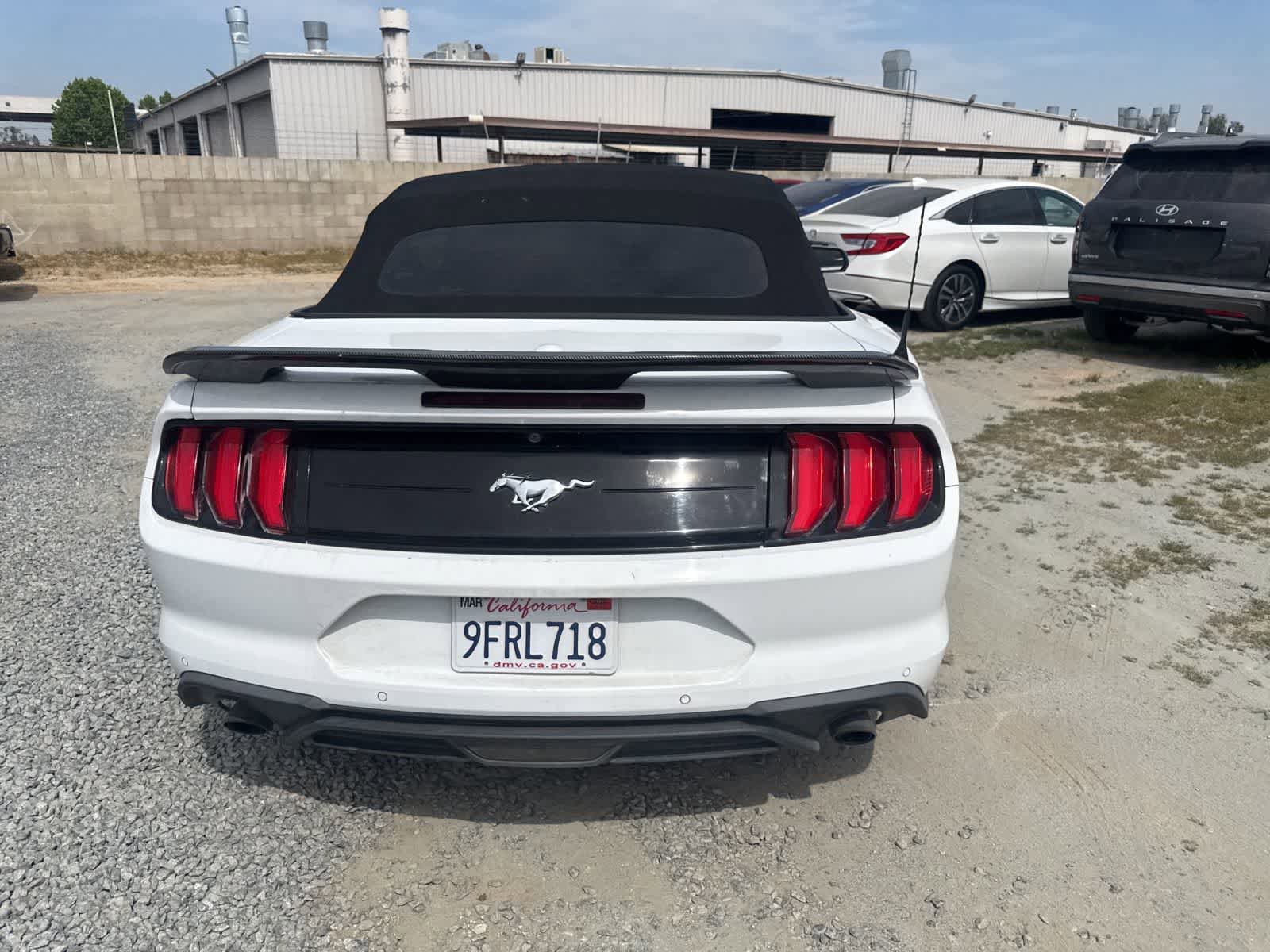 Used 2019 Ford Mustang Premium image 6
