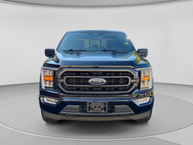 Used 2022 Ford F150 XLT w/ Equipment Group 302A High AWD/4WD image 8