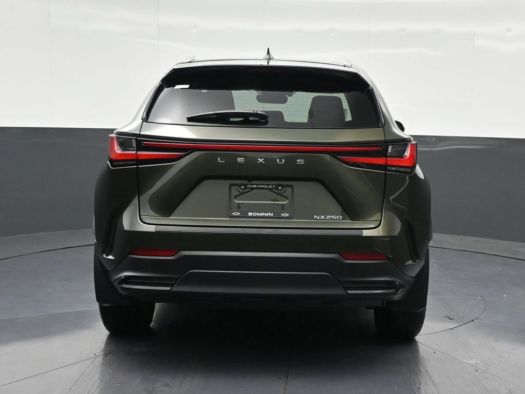 Used 2024 Lexus NX 250 250 Base w/ Cold Area Package image 4