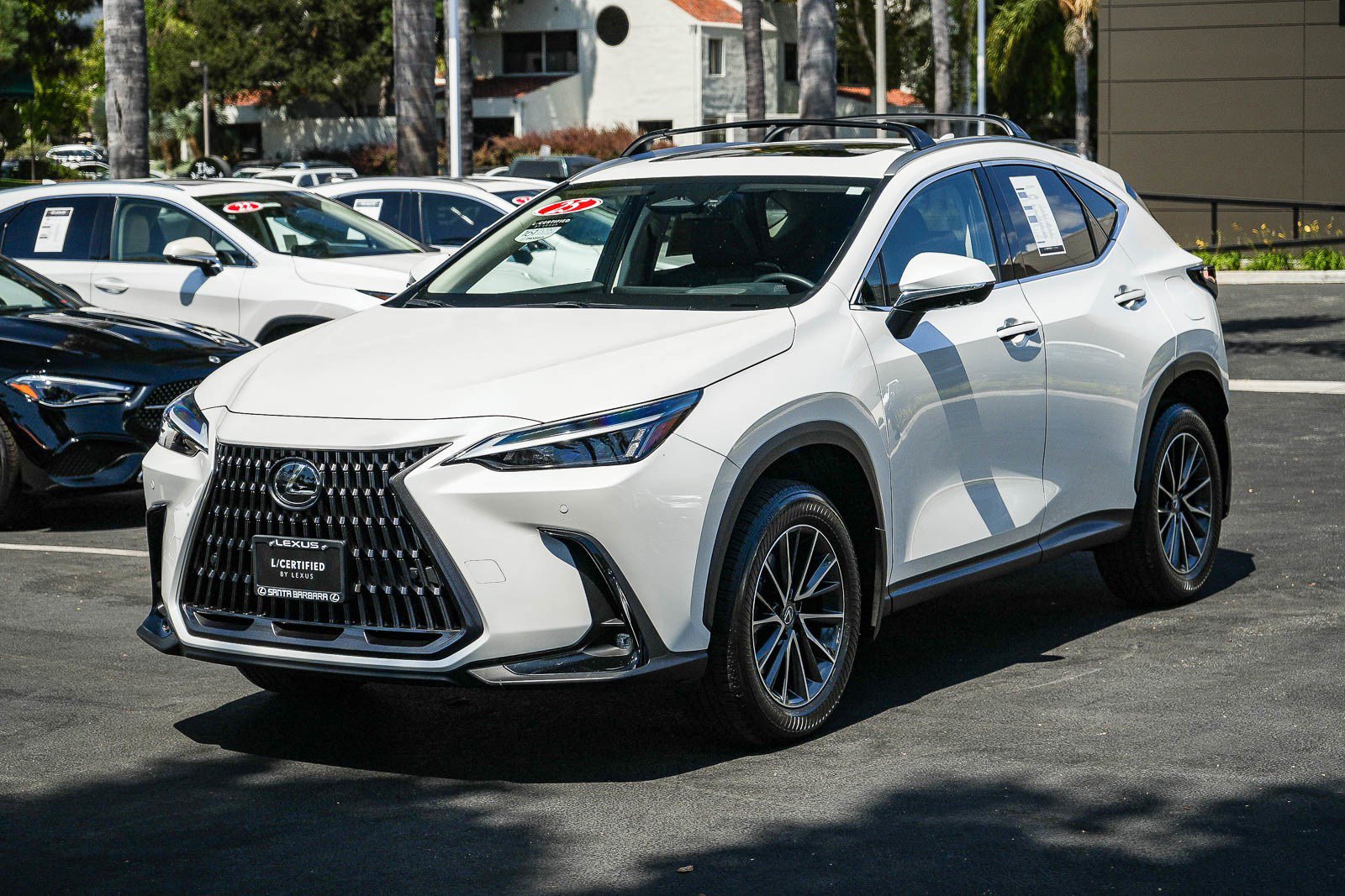 Certified 2025 Lexus NX 350h AWD w/ Cold Area Package image 3