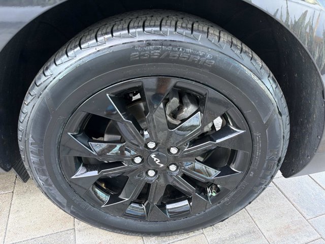 Used 2024 Kia Carnival SX Prestige image 35