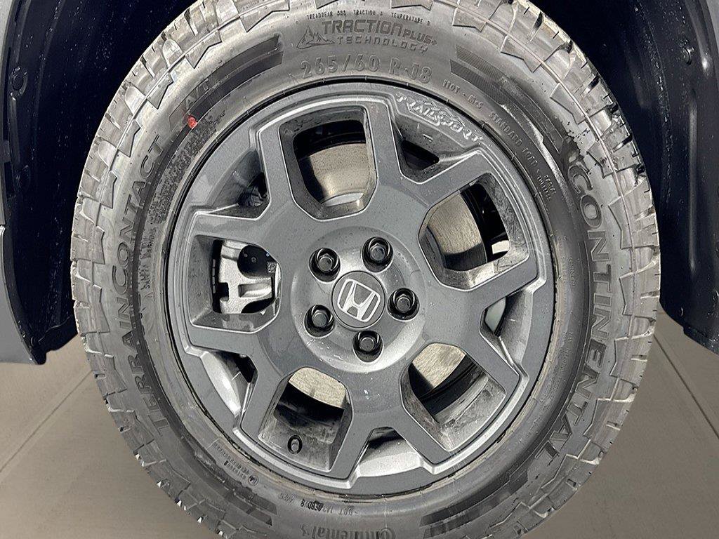 New 2026 Honda Pilot TrailSport image 10