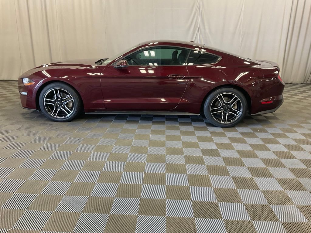 Used 2018 Ford Mustang Premium w/ Equipment Group 201A RWD image 13
