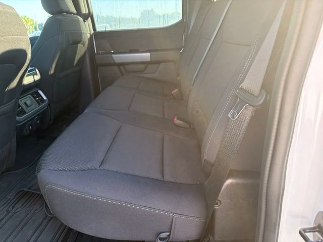 Used 2025 Ford F150 XLT w/ Equipment Group 302A MID AWD/4WD image 10