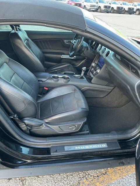 Used 2019 Ford Mustang Premium image 14