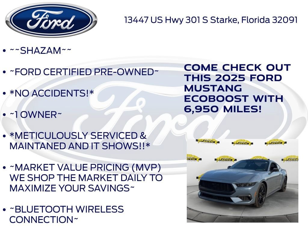 Certified 2025 Ford Mustang Coupe w/ Mustang Nite Pony Package image 6