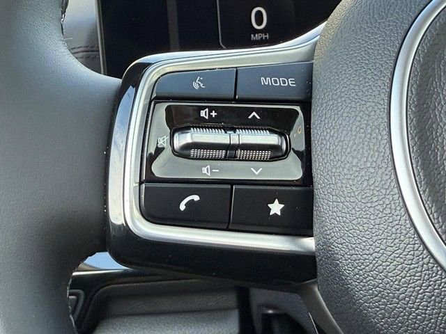 New 2025 Kia Carnival SX Prestige image 14