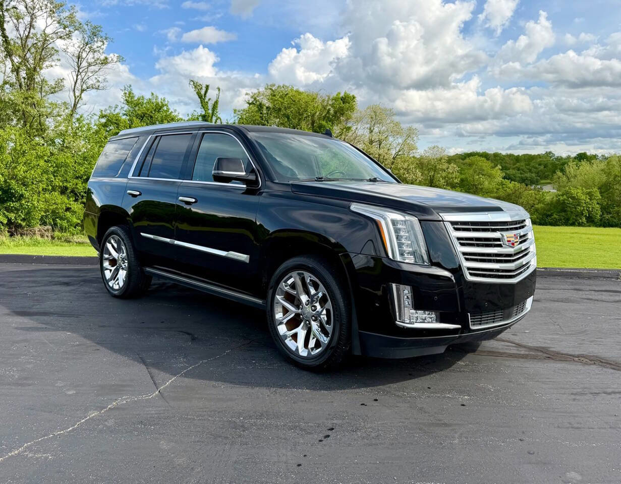 Used 2017 Cadillac Escalade Platinum AWD/4WD image 1