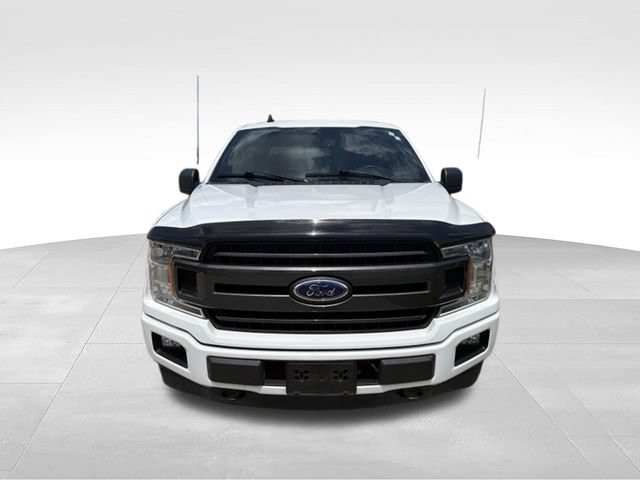 Used 2019 Ford F150 XLT w/ Equipment Group 302A Luxury AWD/4WD image 8