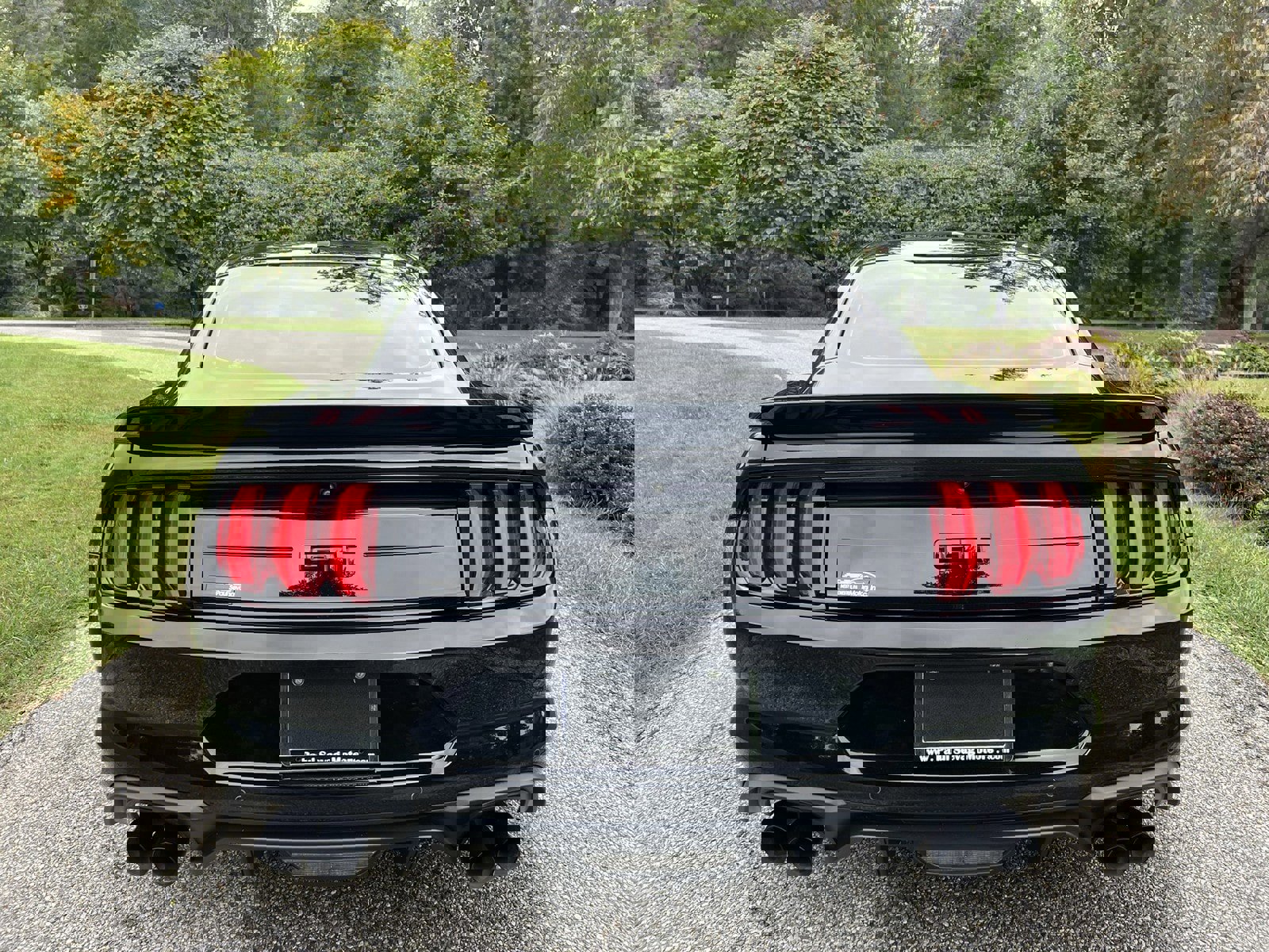 Used 2019 Ford Mustang GT Premium w/ Enhanced Security Package image 9