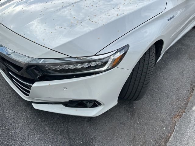 Used 2022 Honda Accord Touring image 6