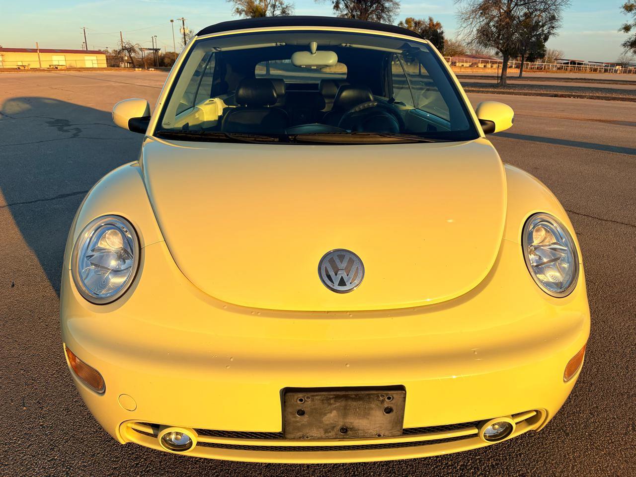Used 2003 Volkswagen Beetle GLS image 19