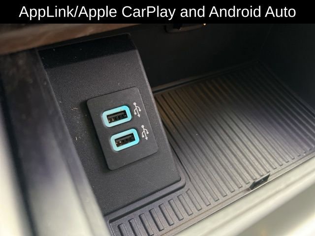 Used 2019 Ford F250 Limited image 28