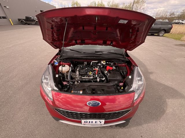 Used 2022 Ford Escape SE w/ Cold Weather Package AWD/4WD image 26
