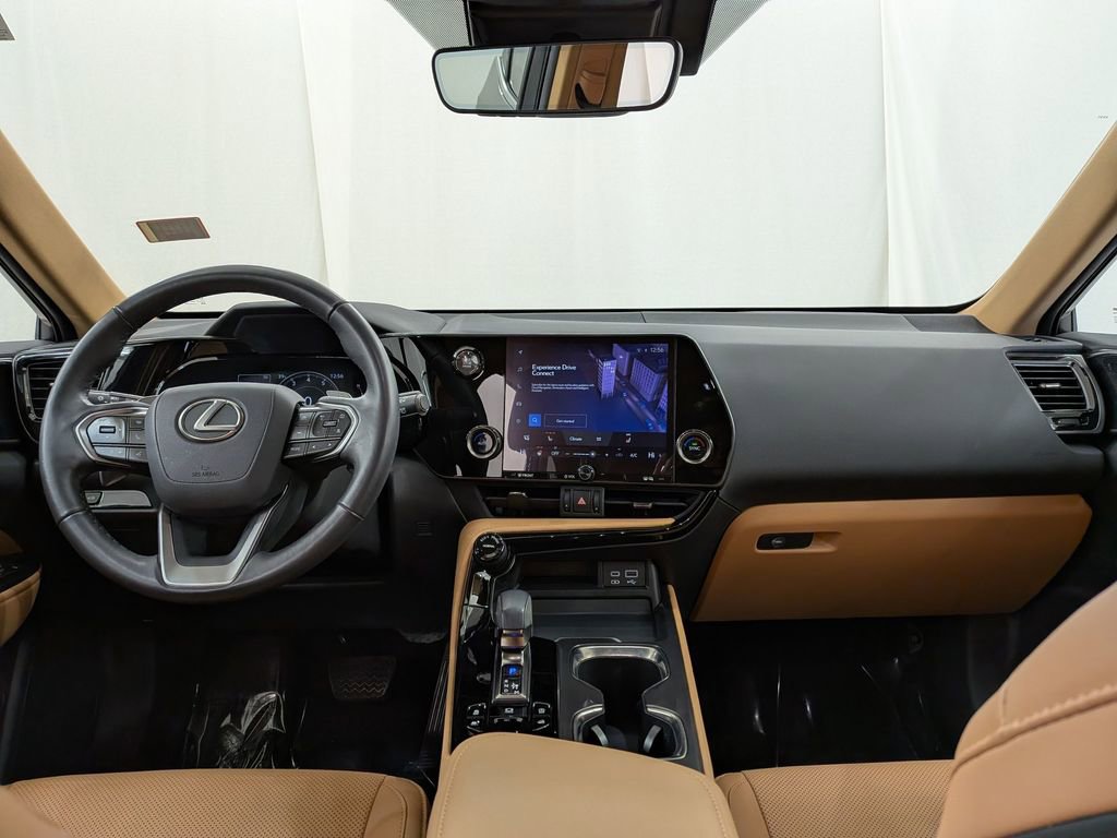 Certified 2024 Lexus NX 250 250 Base w/ Cold Area Package image 13