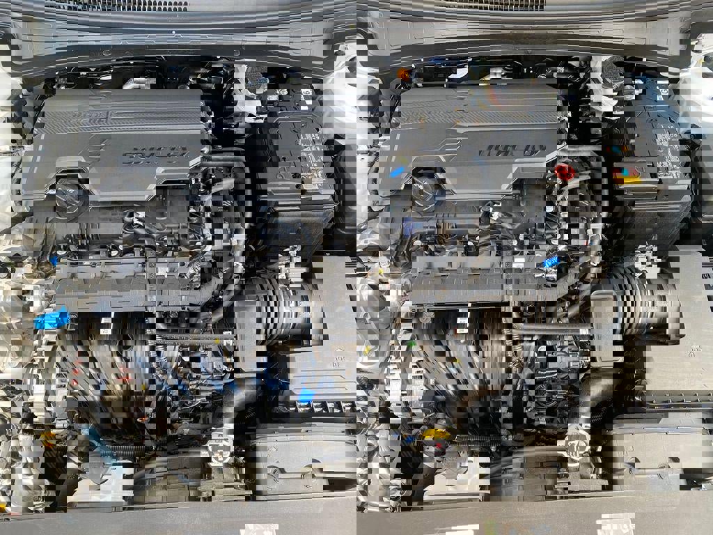 New 2025 Hyundai Elantra SEL image 10