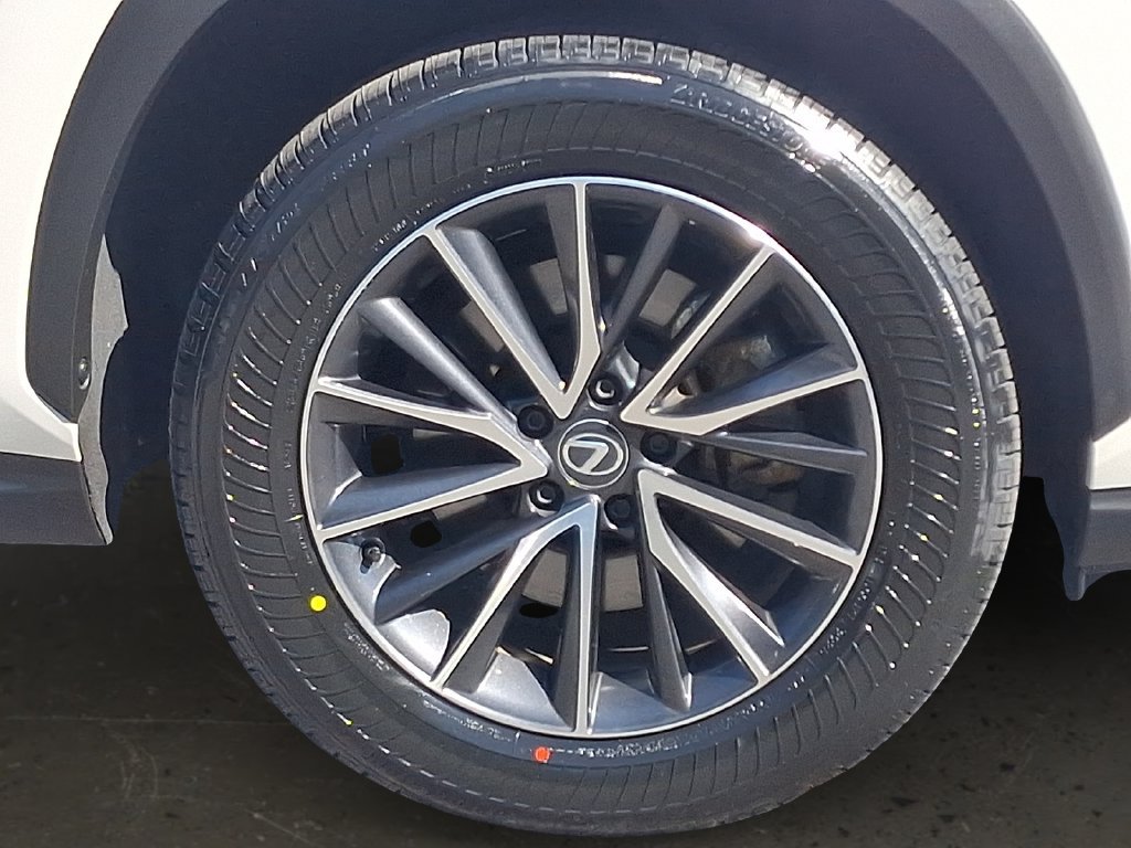 Certified 2025 Lexus NX 350h AWD w/ Cold Area Package image 9