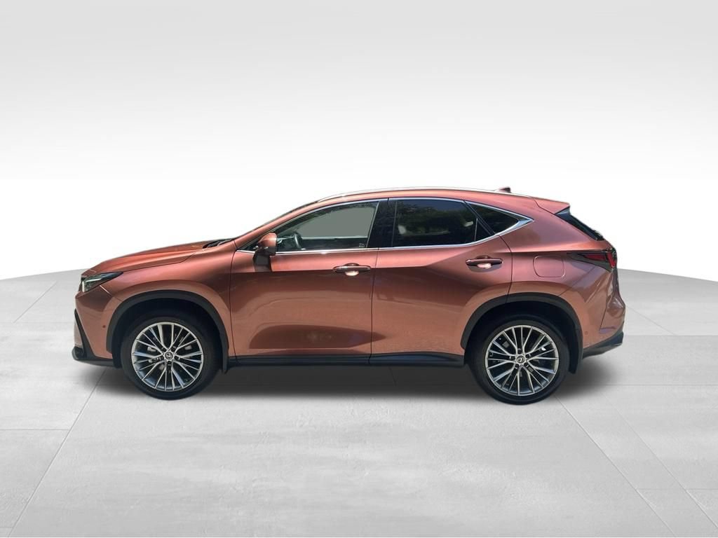 Used 2025 Lexus NX 350 AWD w/ Rear Seat Package image 2
