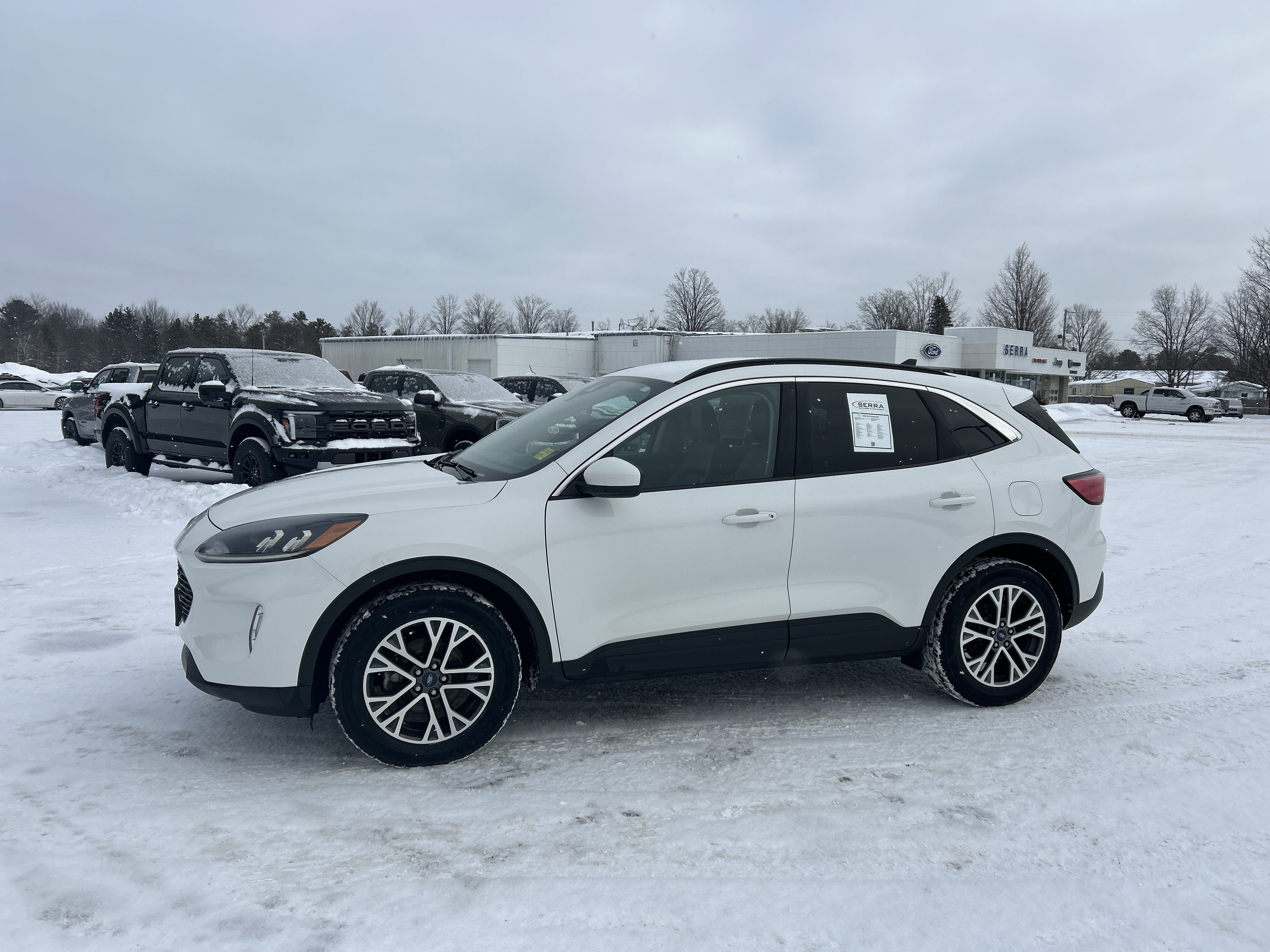 Used 2020 Ford Escape SEL image 7