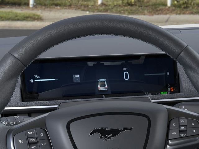 New 2025 Ford Mustang Mach-E GT image 13