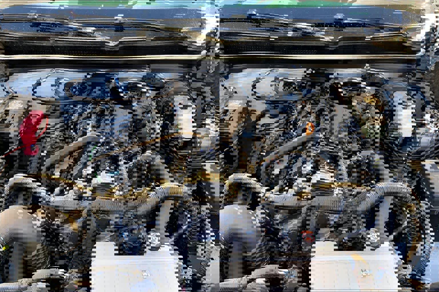 Used 2025 Toyota Tacoma TRD Sport image 32