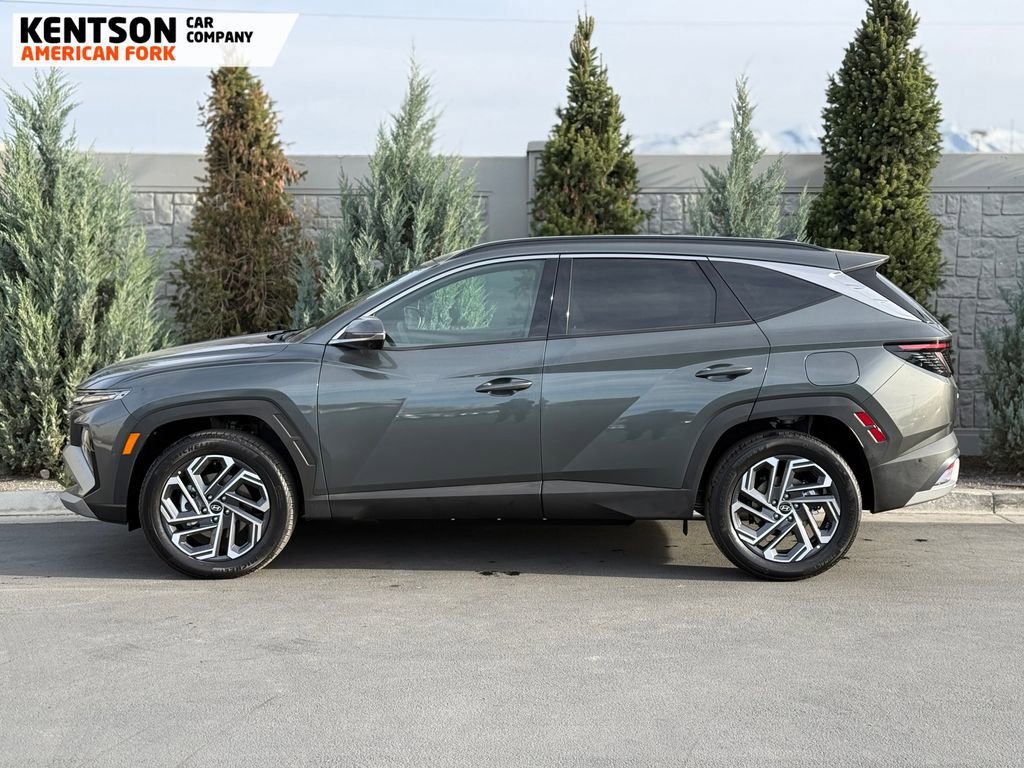 Used 2025 Hyundai Tucson Limited image 4