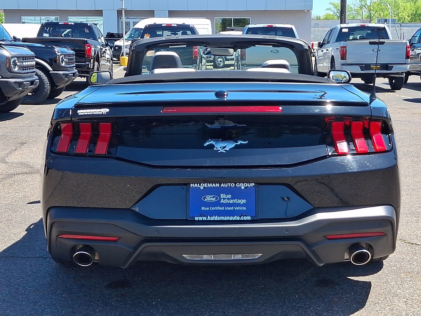 Used 2024 Ford Mustang Premium RWD image 7