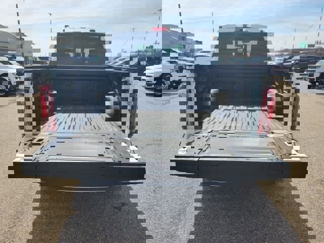 New 2026 Ford F150 Platinum image 31