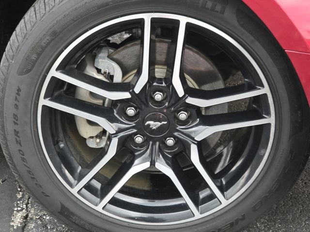 Used 2007 Ford Mustang GT Premium RWD image 5