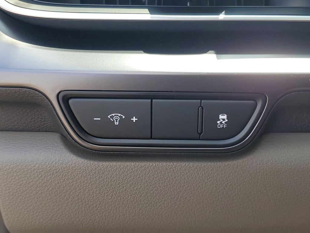 New 2026 Kia Carnival image 19
