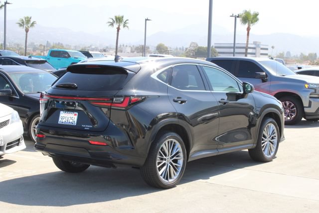 Certified 2025 Lexus NX 350h AWD w/ Cold Area Package image 20