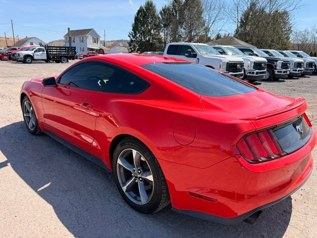 Used 2016 Ford Mustang Premium w/ Equipment Group 201A image 8