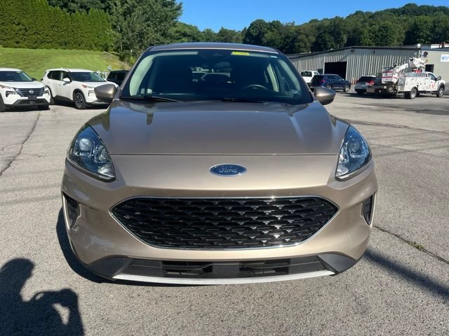 Used 2020 Ford Escape SE AWD/4WD image 11