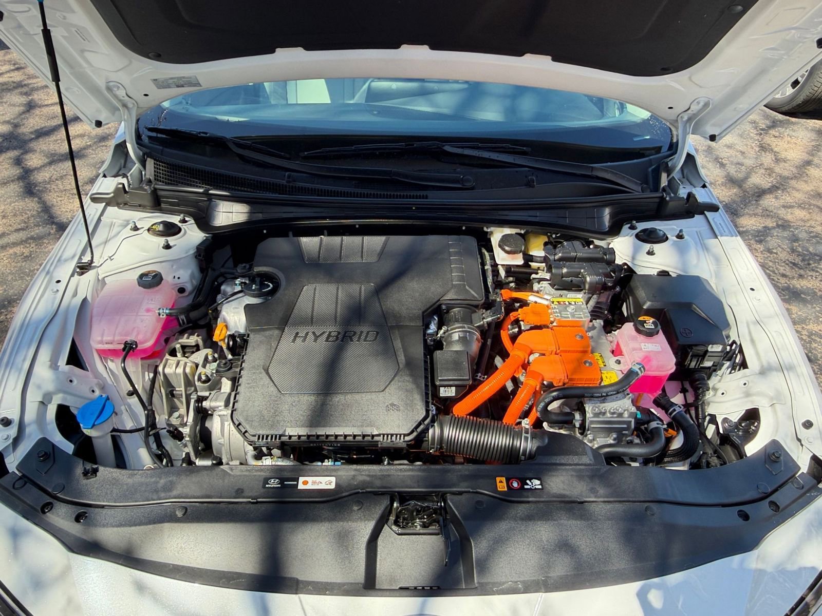 Used 2025 Hyundai Elantra Limited image 32