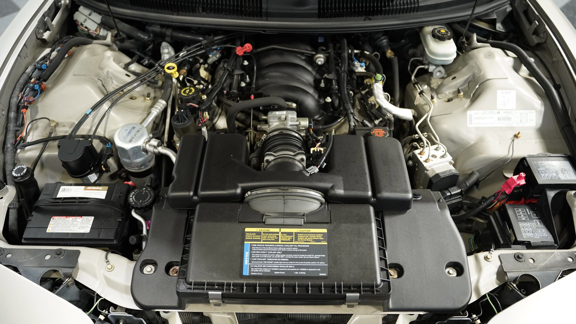 Used 1999 Pontiac Firebird Trans Am image 3