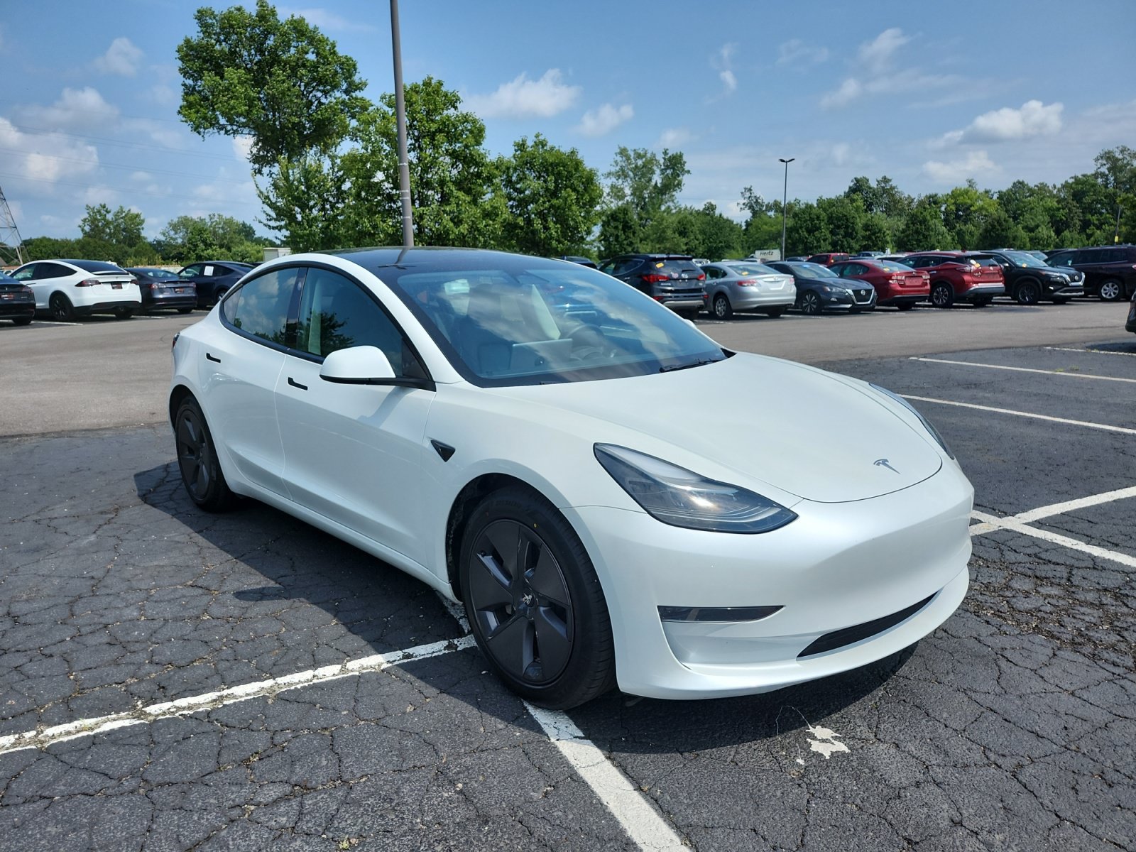 Used 2023 Tesla Model 3 Standard Range RWD image 23
