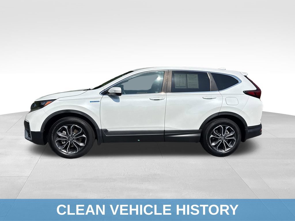 Used 2020 Honda CR-V EX-L image 3