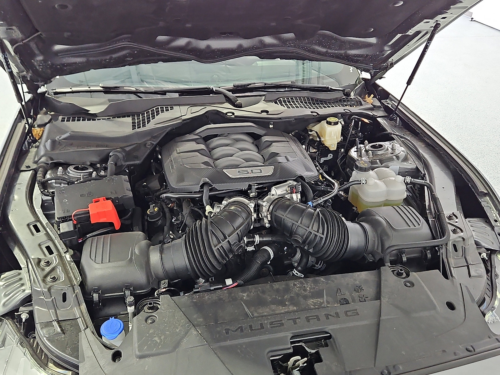 Used 2025 Ford Mustang GT image 7