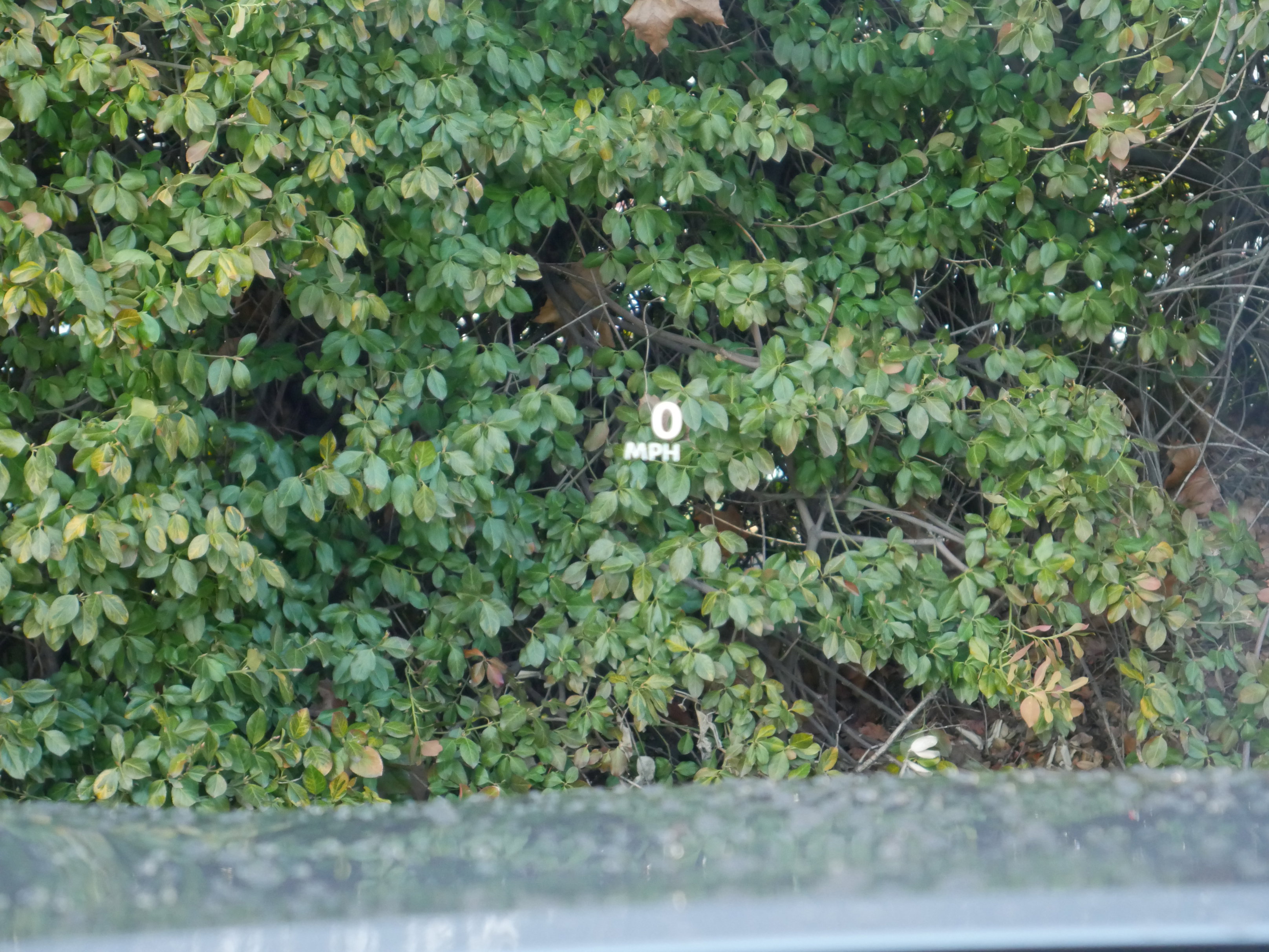 New 2026 Nissan Rogue Platinum w/ Platinum Premium Package image 9