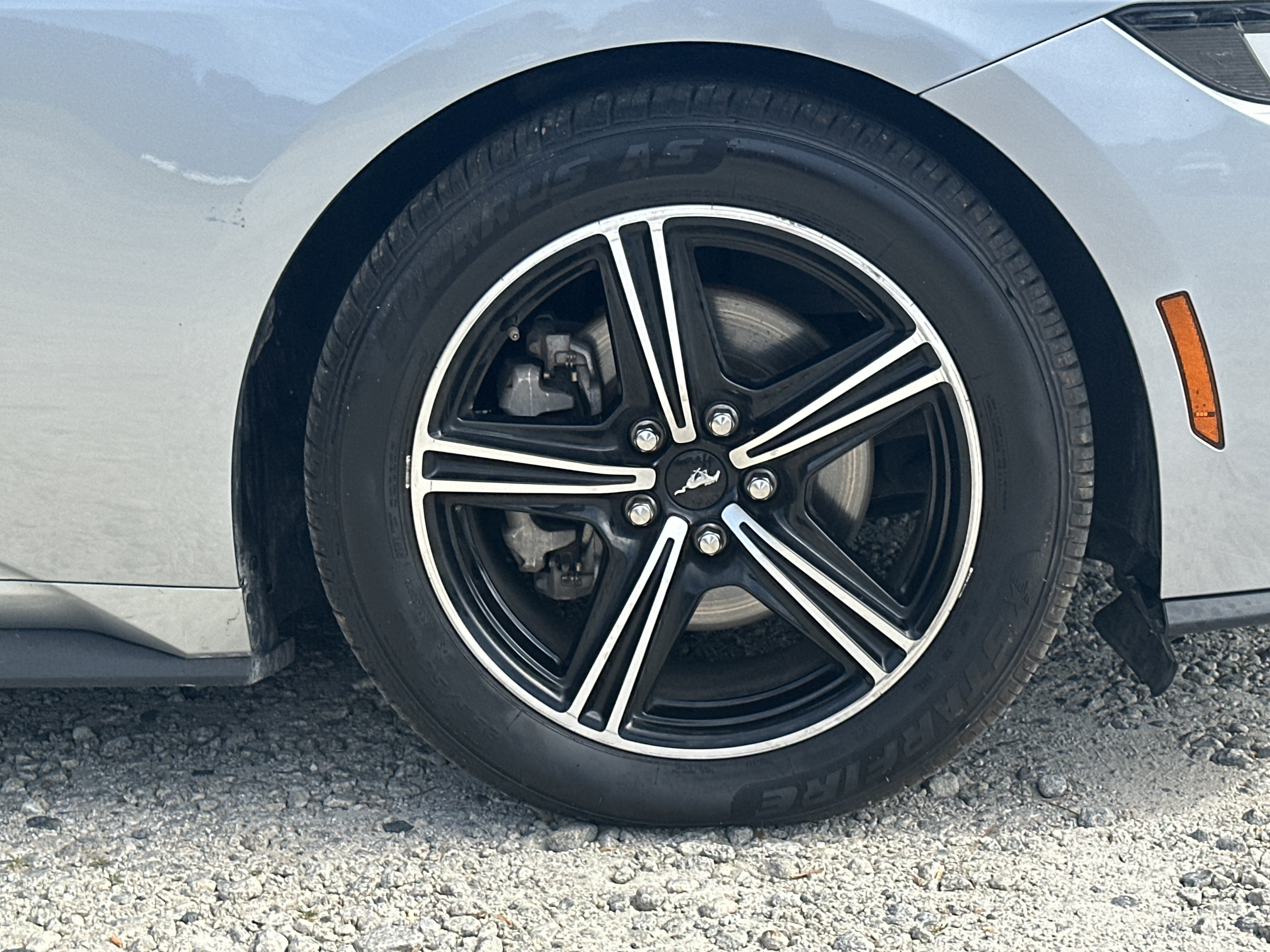 Used 2024 Ford Mustang Premium image 12