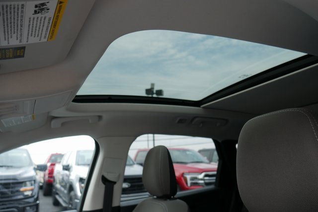 Used 2022 Ford Escape SE w/ SE Sport Appearance Package image 3