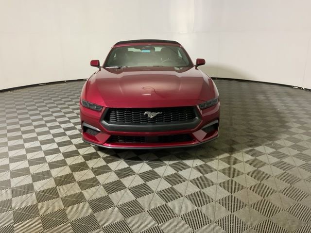 New 2026 Ford Mustang Premium image 3