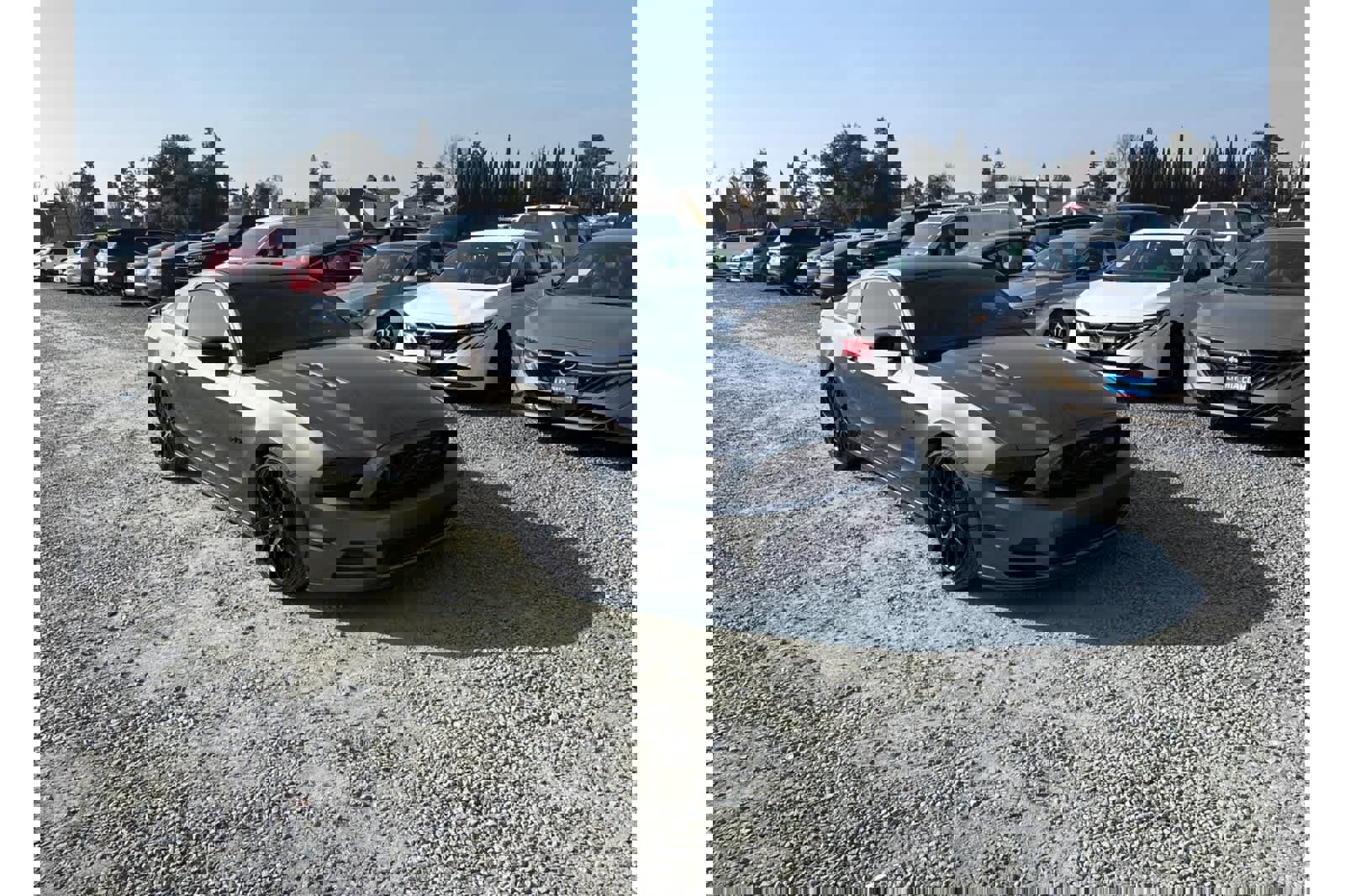 Used 2014 Ford Mustang GT Premium w/ Brembo Brake Package image 10