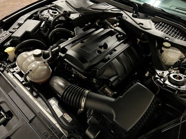 Used 2019 Ford Mustang Premium w/ Equipment Group 201A image 44