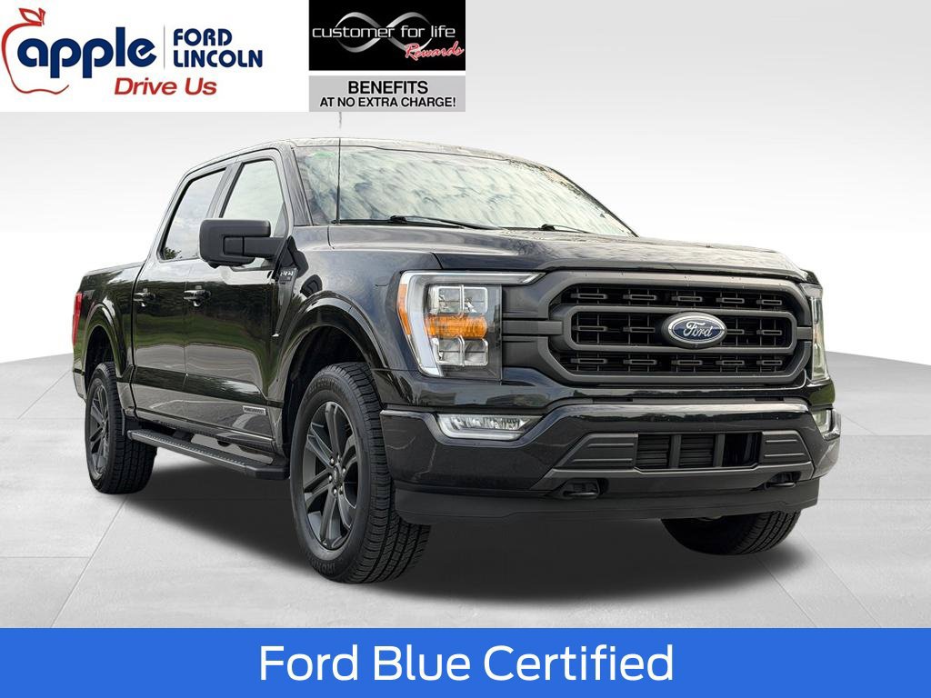 Used 2023 Ford F150 XLT w/ Equipment Group 302A High
