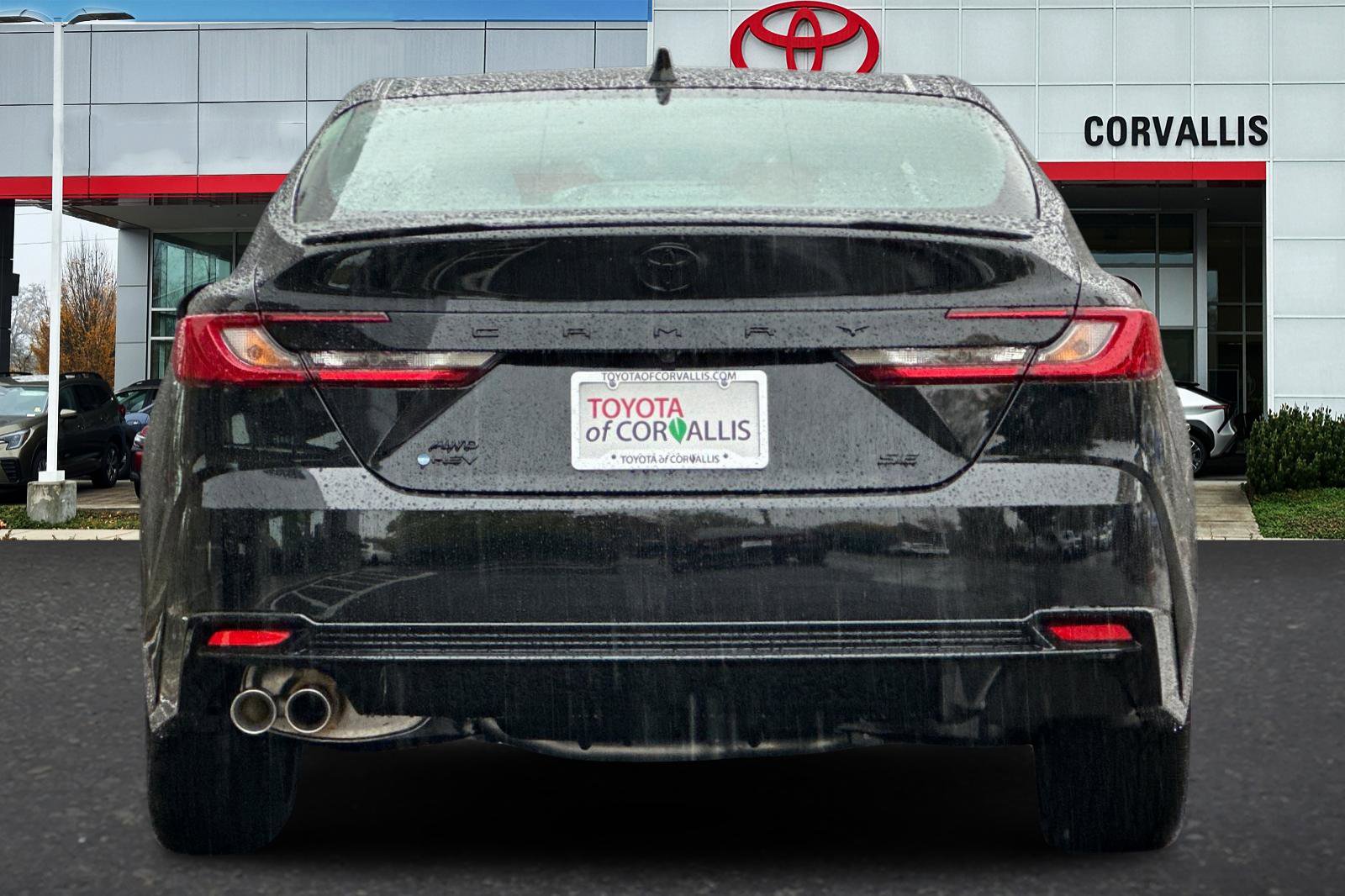 New 2026 Toyota Camry Hybrid w/ Multimedia Upgrade Package image 6