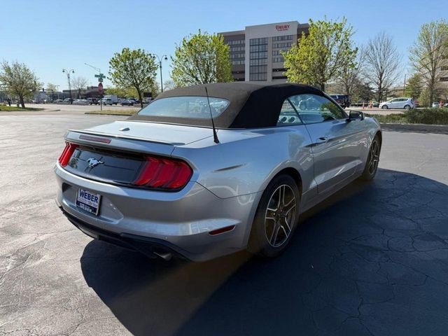 Used 2022 Ford Mustang Premium image 7